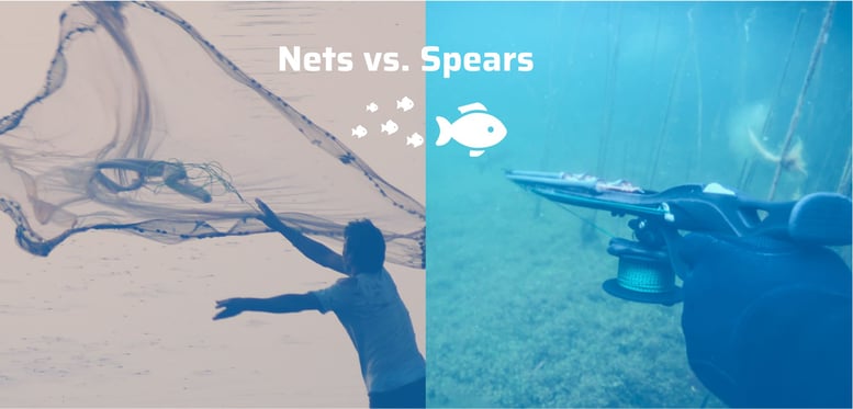 ABM net vs spears